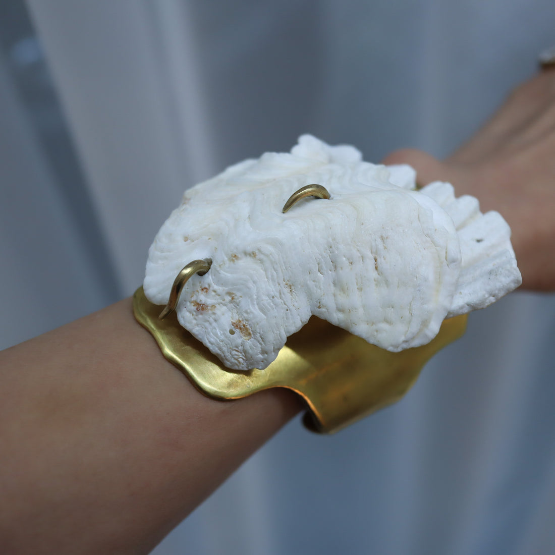 O'Tru no Trus  OBJECT 15 シャコ貝