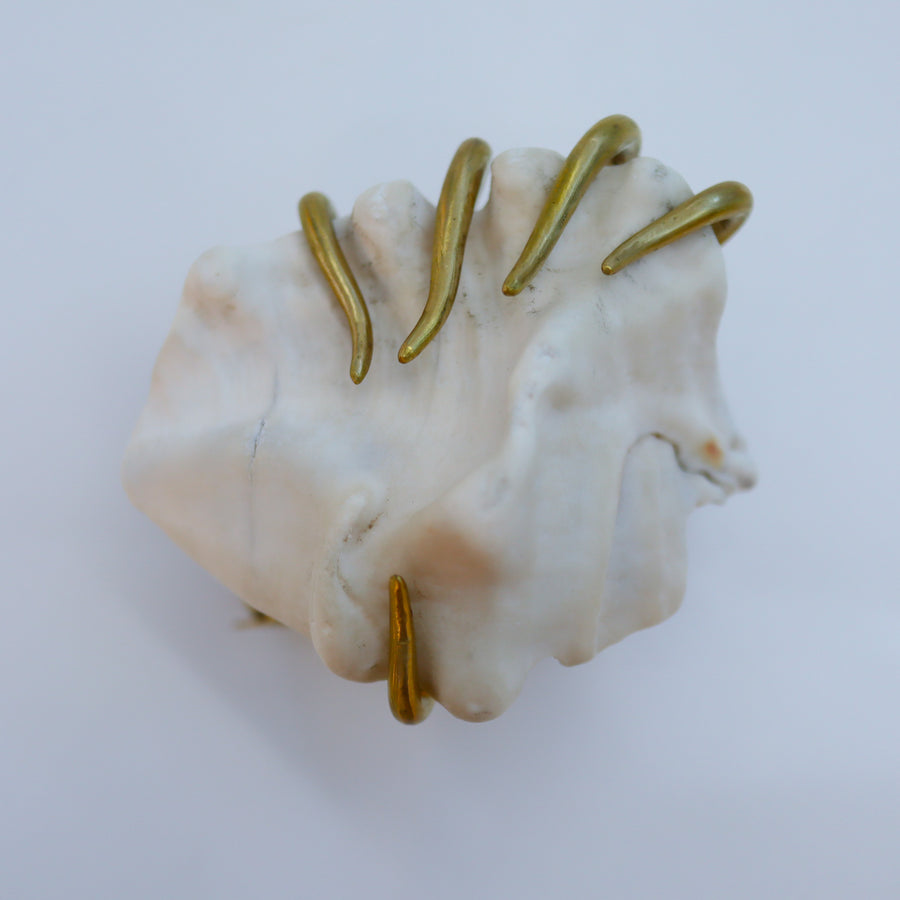 O'Tru no TrusOBJECT 09 貝