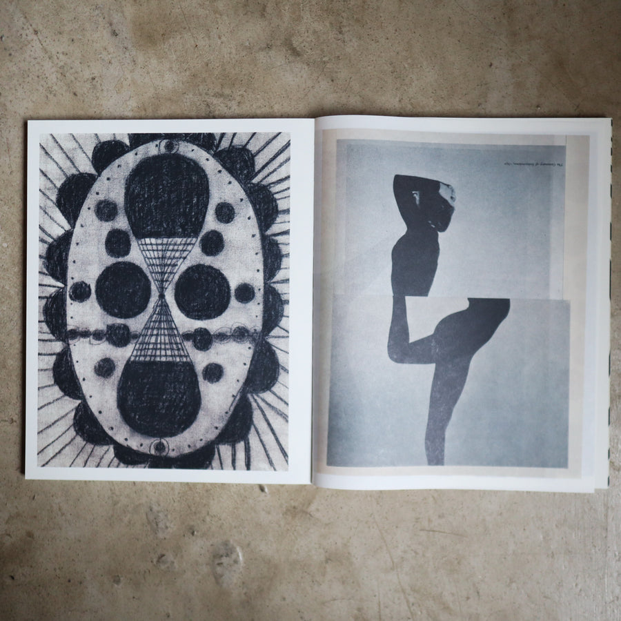 JULIE WOLFE “APOPHENIA”