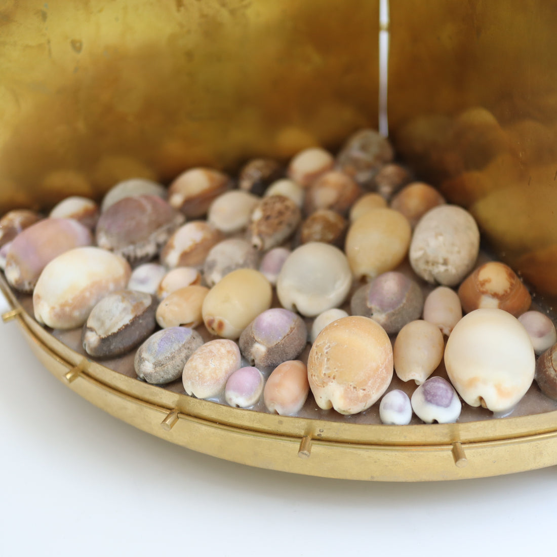 O'Tru no Trus  OBJECT 44 宝貝