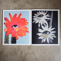 JULIE WOLFE “APOPHENIA”