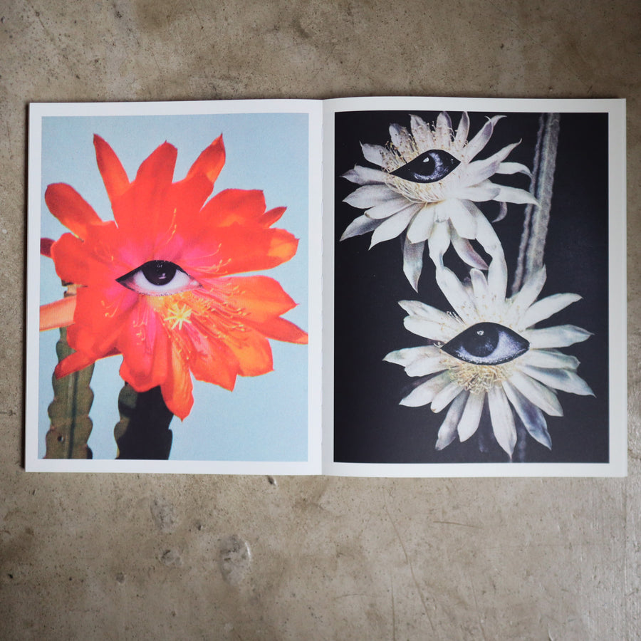 JULIE WOLFE “APOPHENIA”