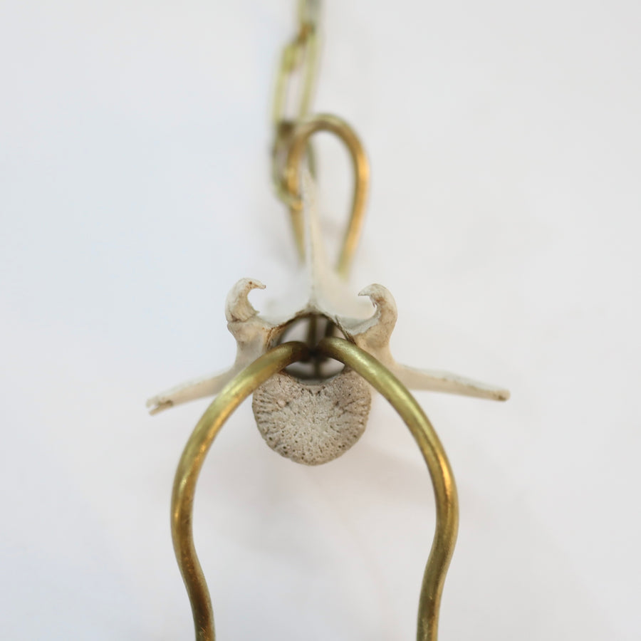 O'Tru no TrusOBJECT 24 ライター、骨