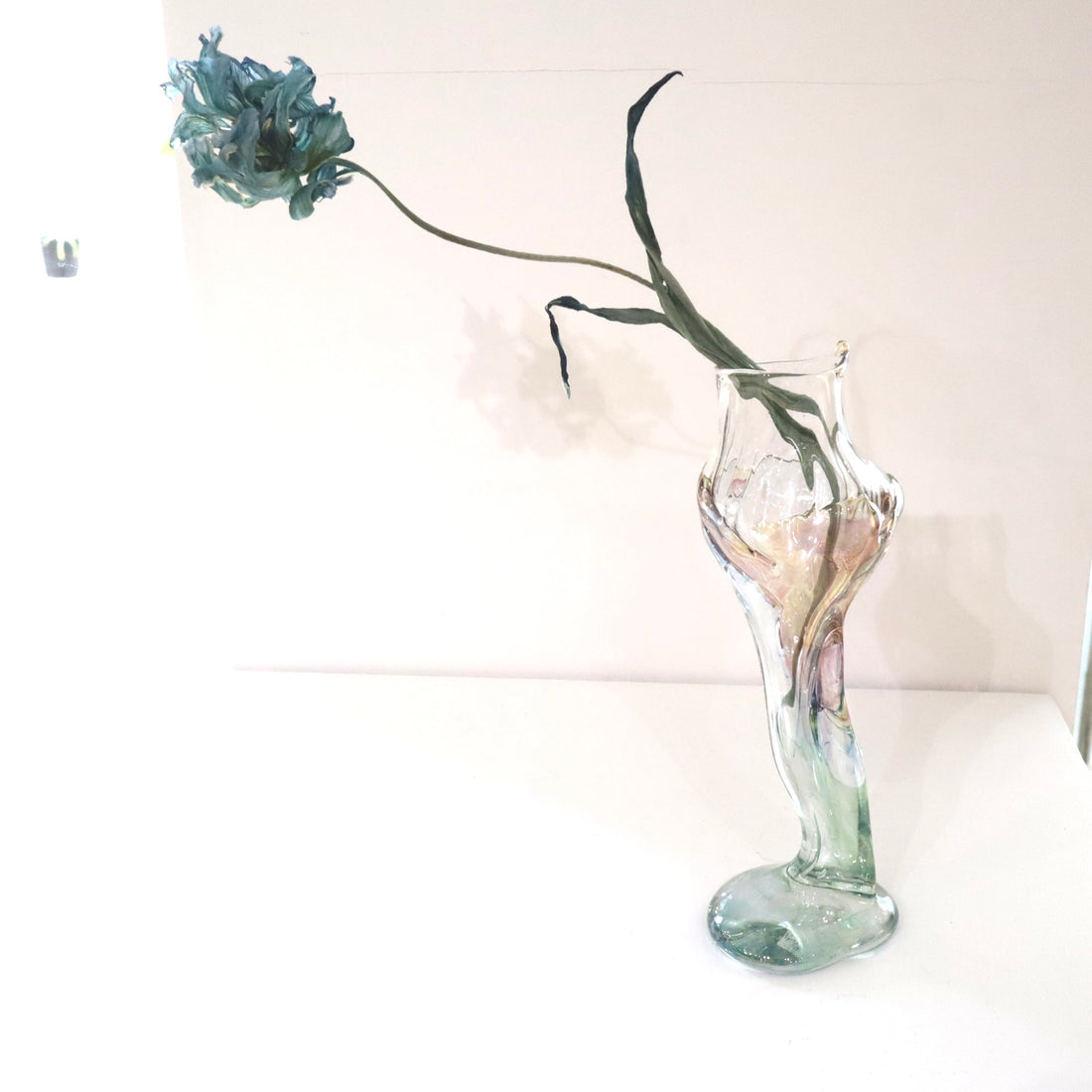 Asago Kawachi F etc. Petit Hand “G26”